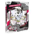 White Flare Binder Collection LIVE